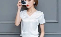 番茄视频在线直播观看免费